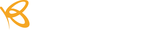 Flutterwave