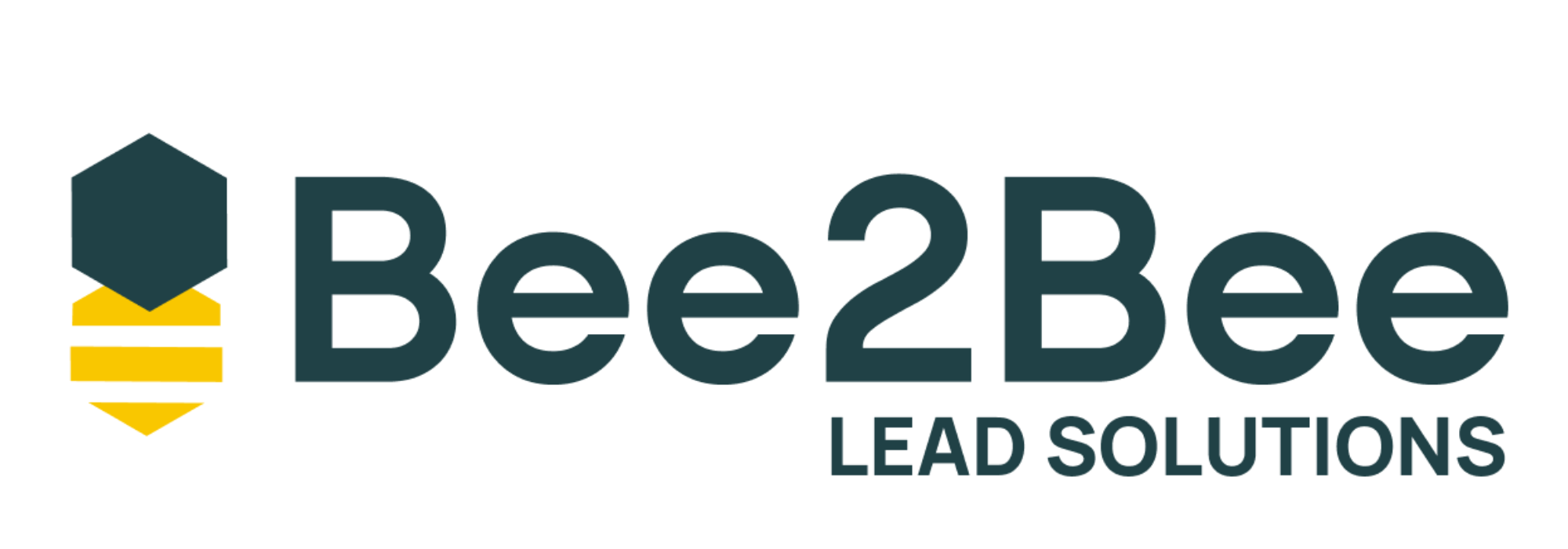 bee2bee Lead Solutions