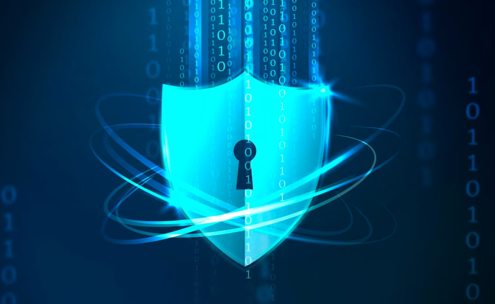How We Protect Your Data